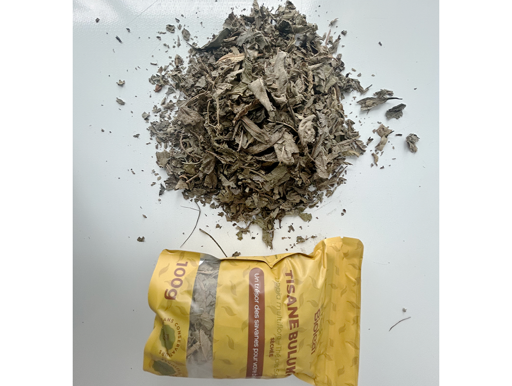 Tisane naturelle de Bulukutu – Lippia multiflora – Thé des savane