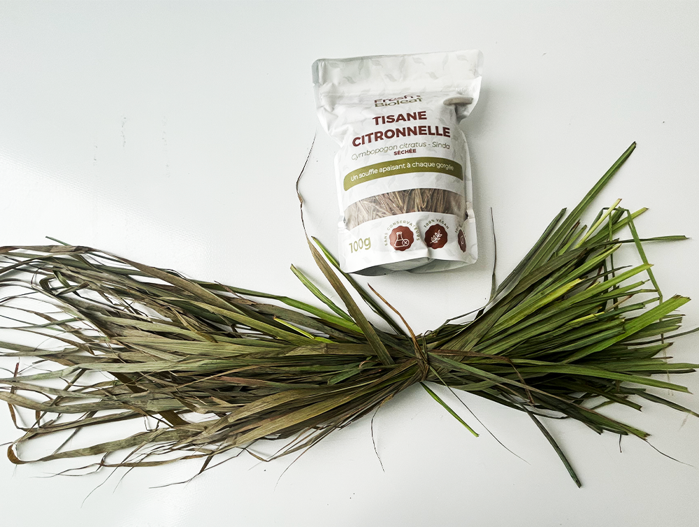 Tisane de Citronnelle variété tropicale
