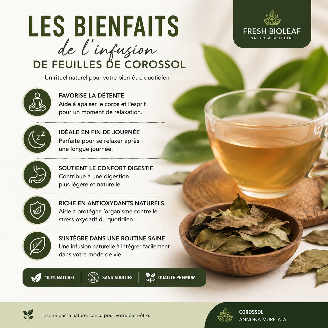 Infusion de Feuilles de Corossol 100% naturelle – Tisane Bien-Être & Relaxation Naturelle – Soursop Leaves / Graviola – Moment Détente Quotidien – Sans pesticides - 100g