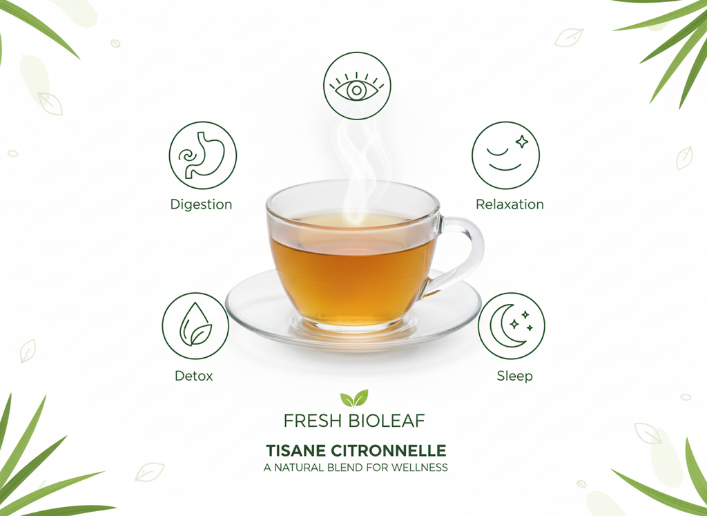 Tisane de Citronnelle variété tropicale