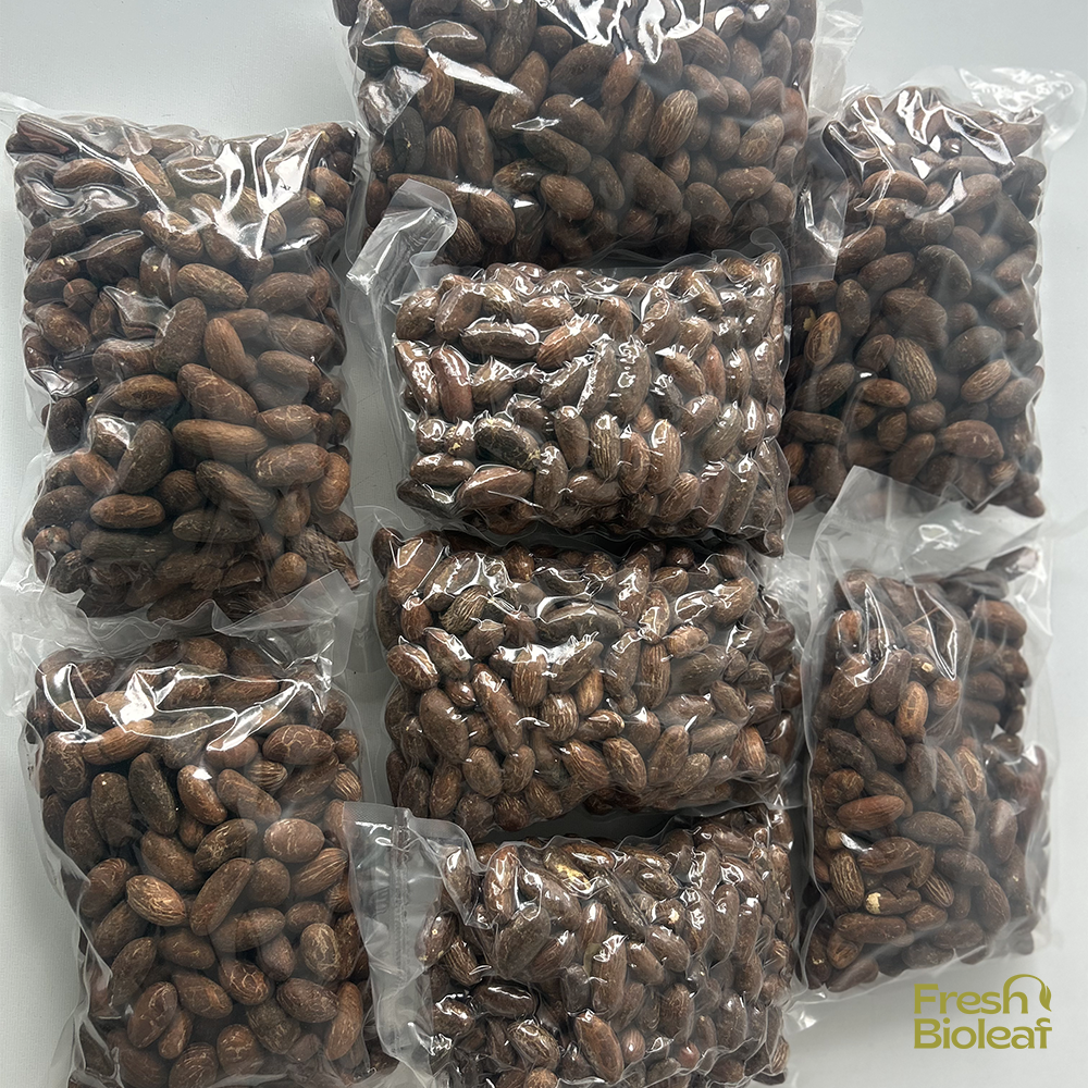 Petit Cola frais sous vide – Bitter Kola Pur – Garcinia kola – 100% Naturel – Énergie, Vitalité, Digestion – Origine Congo – Ngadiadia – Pur - qualité supérieure