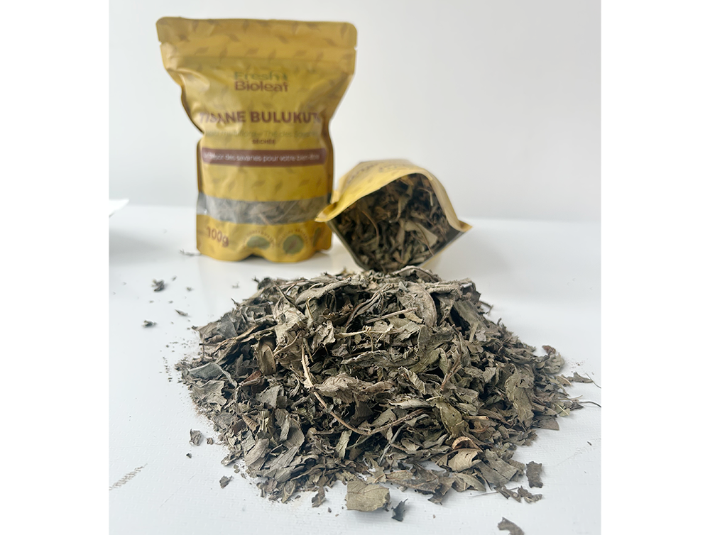 Tisane naturelle de Bulukutu – Lippia multiflora – Thé des savane