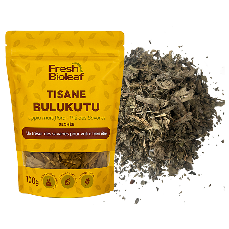 Tisane naturelle de Bulukutu – Lippia multiflora – Thé des savane