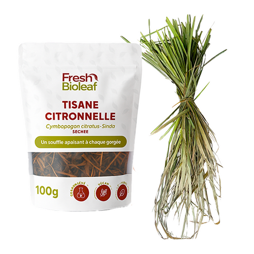 Tisane de Citronnelle variété tropicale