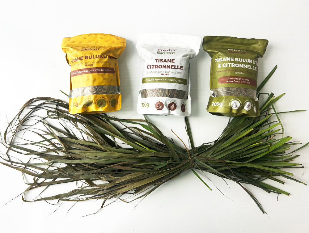 Tisane de Citronnelle variété tropicale