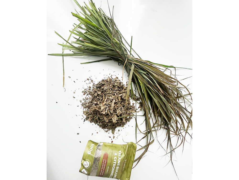 Tisane Bulukutu & Citronnelle