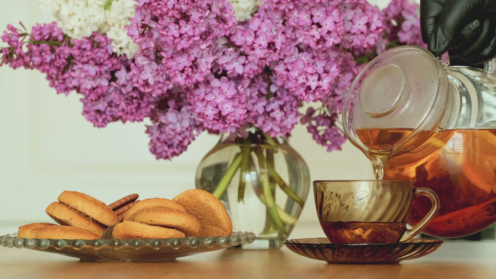 Tisane naturelle de Bulukutu – Lippia multiflora – Thé des savane